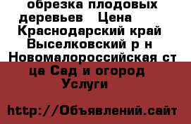 обрезка плодовых деревьев › Цена ­ 50 - Краснодарский край, Выселковский р-н, Новомалороссийская ст-ца Сад и огород » Услуги   